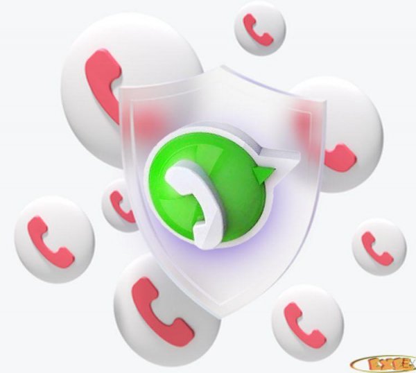 WhatsAppPortable 2.2212.8