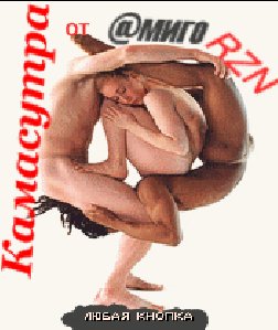 KamasutrAmigo