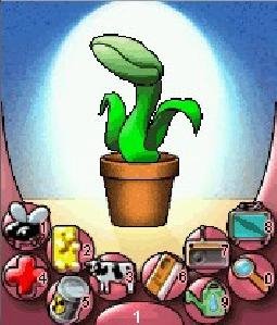 Venus Flytrap RUS