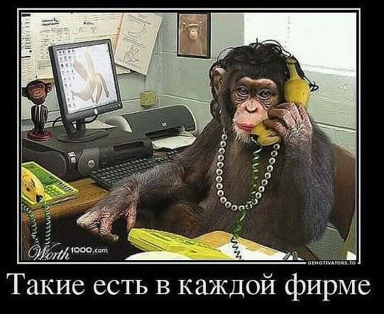 В каждой фирме