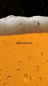 allsensor.ru 687 beer signed exp
