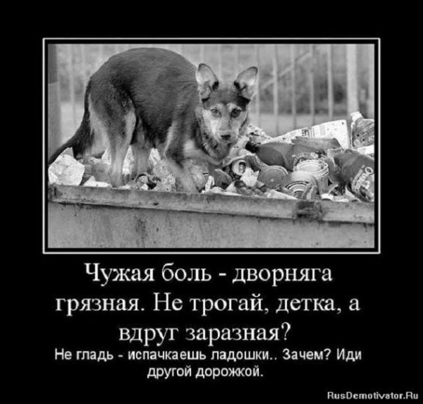 Чужая боль