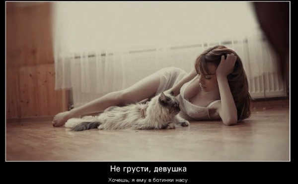 котЭ