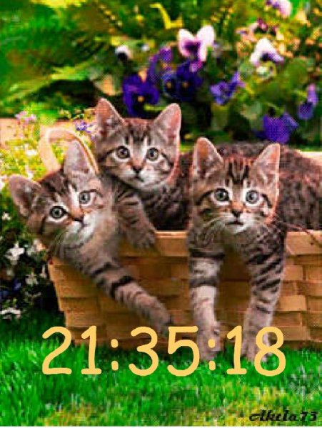 Котята в корзинке