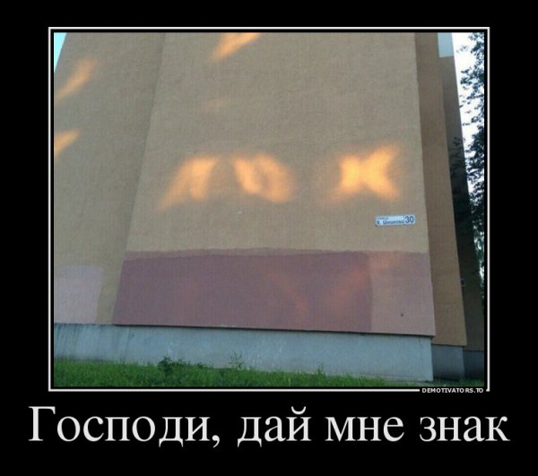 file_65659801