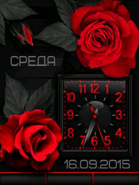 Розы