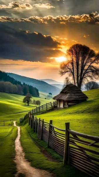file_95694230