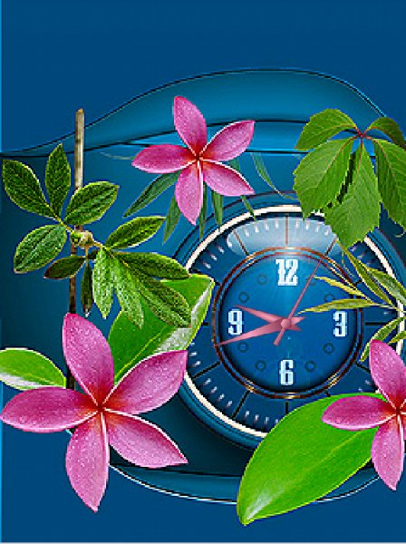 Яркая