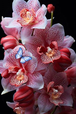 file_95954592