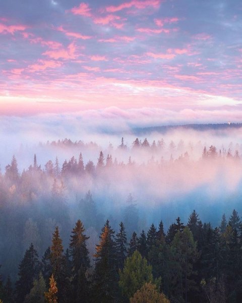 file_96604245