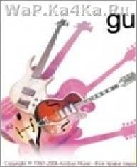 ProGuitar