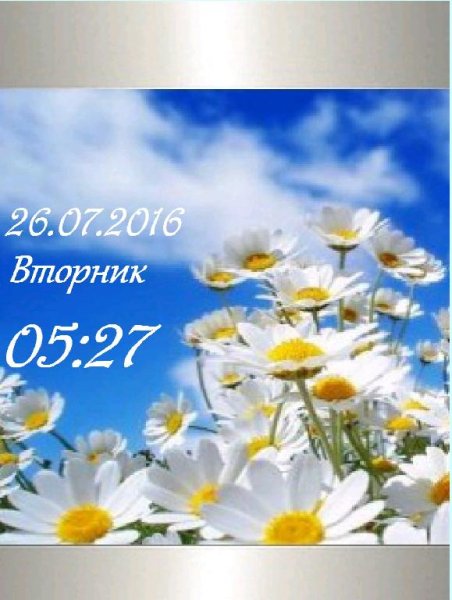 Ромашки