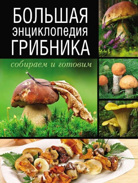 Большая энциклопедия грибника. Собираем и готовим- 2014