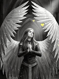 angel imr7rjpv