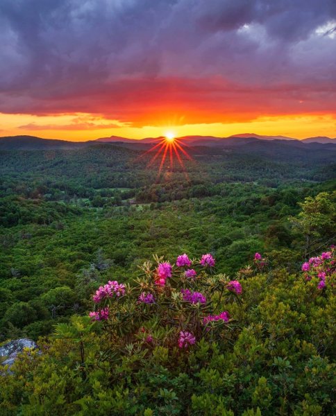 file_100713585