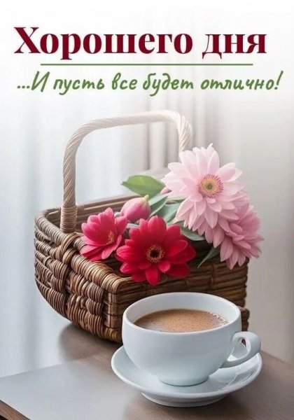 IMG 20240304 031338