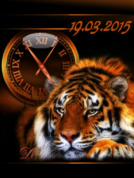 Tigr