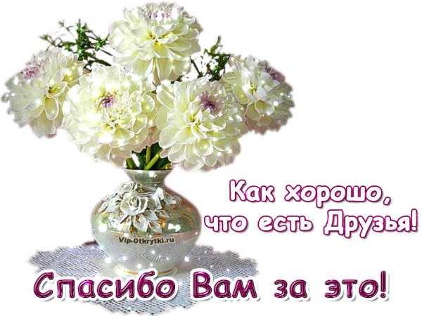 IMG 20210310 181455