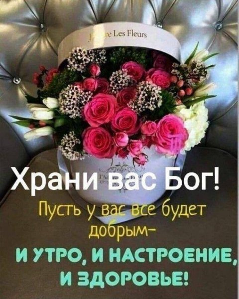 IMG-20260429-WA0002