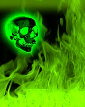 ACID FIRE