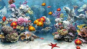 mfAquarium v1.00.wgs