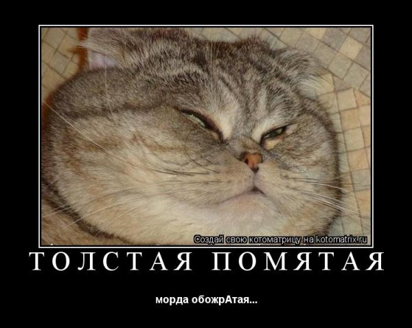 file_73385774