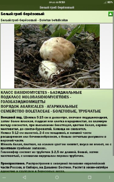 Грибы Ягоды Травы. Справочник 3 в 1 1.8