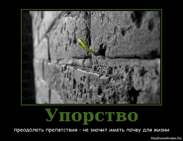 Упорство...