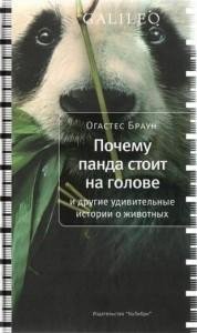 Почему панда стоит на голове