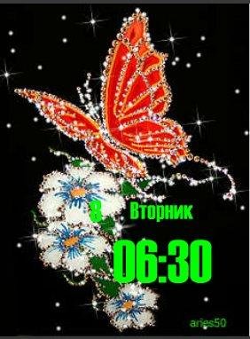 sample (4аниация