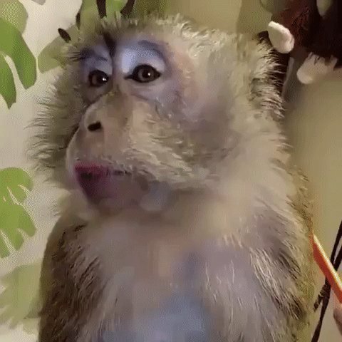 gif 1464380304