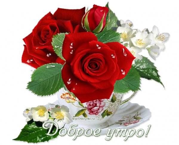 IMG 20210307 095634