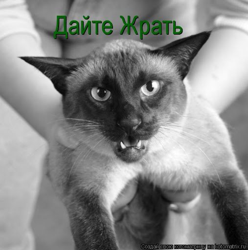 Дайте-мне кушать
