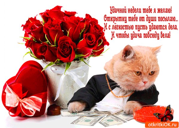 Удачной недели!