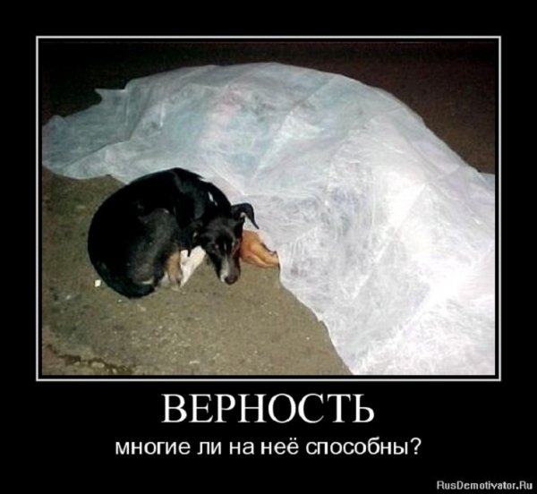 Верность