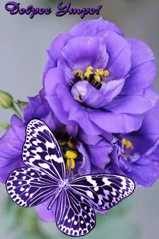 file_77991195