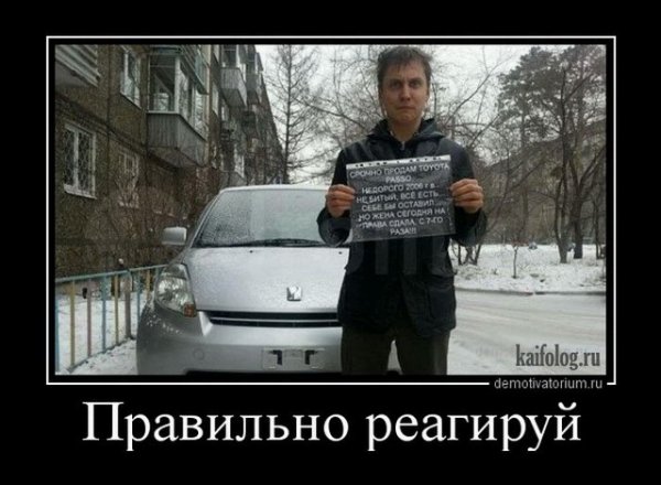 file_64555842