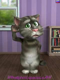 Talking tom cat s60v3 final