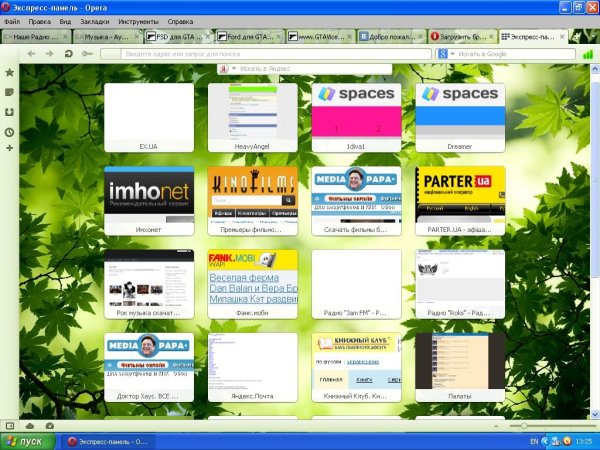 Opera 1215 int Setup