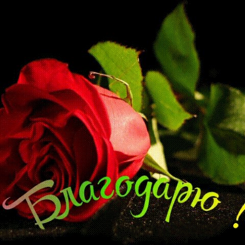 IMG 20190619 200100