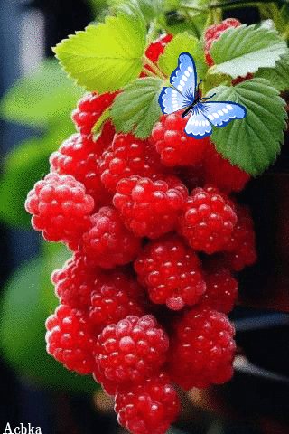 file_97260341