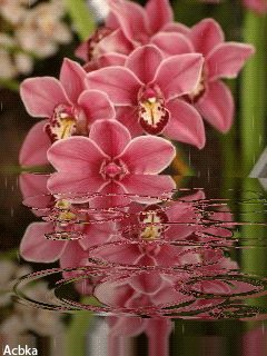 file_59494695