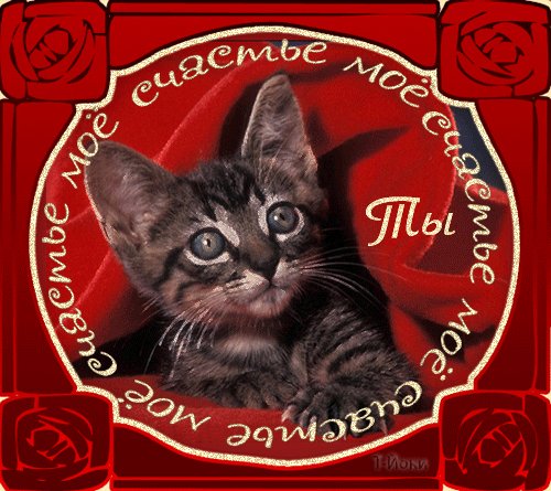 Ты моё счастье