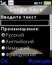 Voice Google