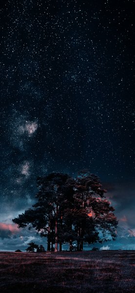 file_96607669