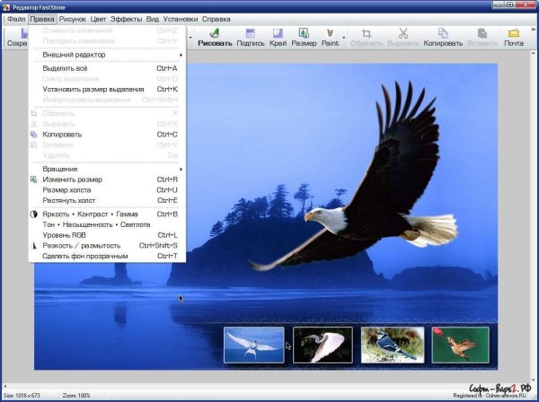 FastStone Capture6.3