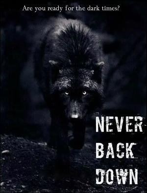 Never Back Down