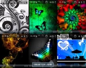 ttpod skins 176x208
