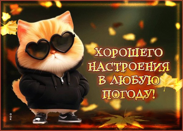 file_100797553