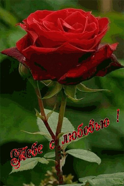 IMG 20170330 082835 10